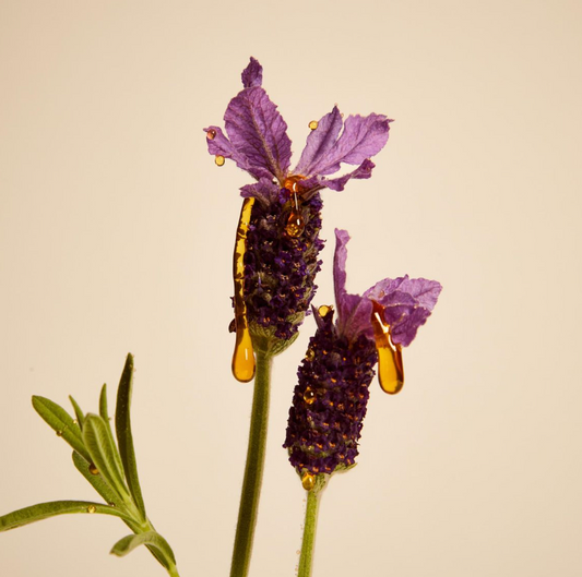 Honey to Restore, Lavender to Soothe: Nature’s Ritual for Healthy-Looking Curls